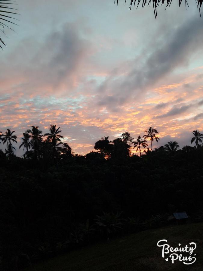 Babahan Farmstay Tabanan  Exterior photo