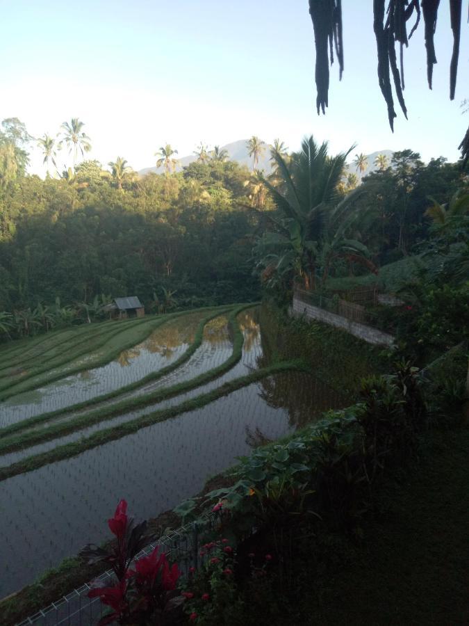 Babahan Farmstay Tabanan  Exterior photo