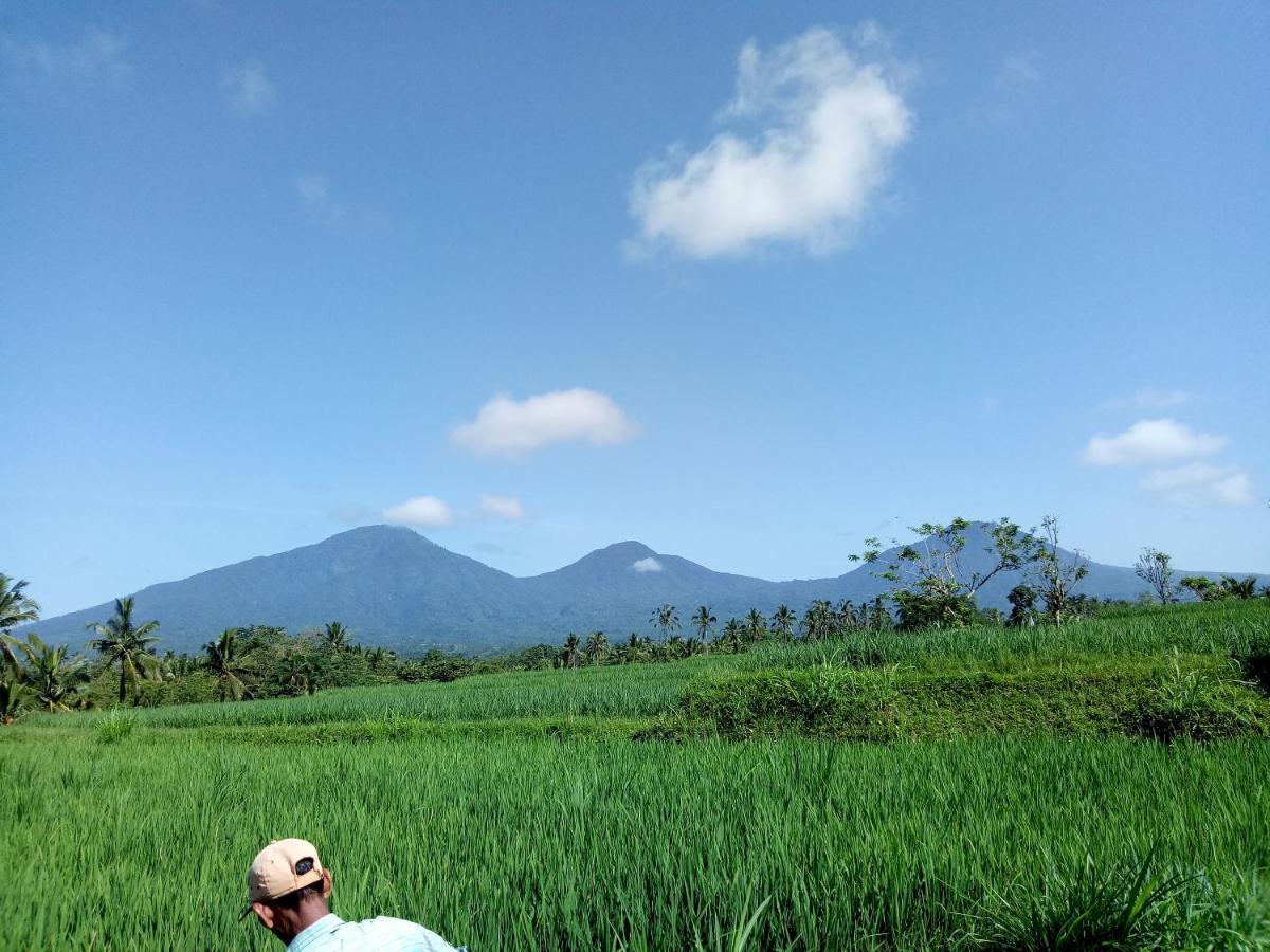 Babahan Farmstay Tabanan  Exterior photo