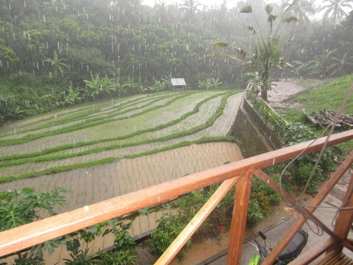 Babahan Farmstay Tabanan  Exterior photo