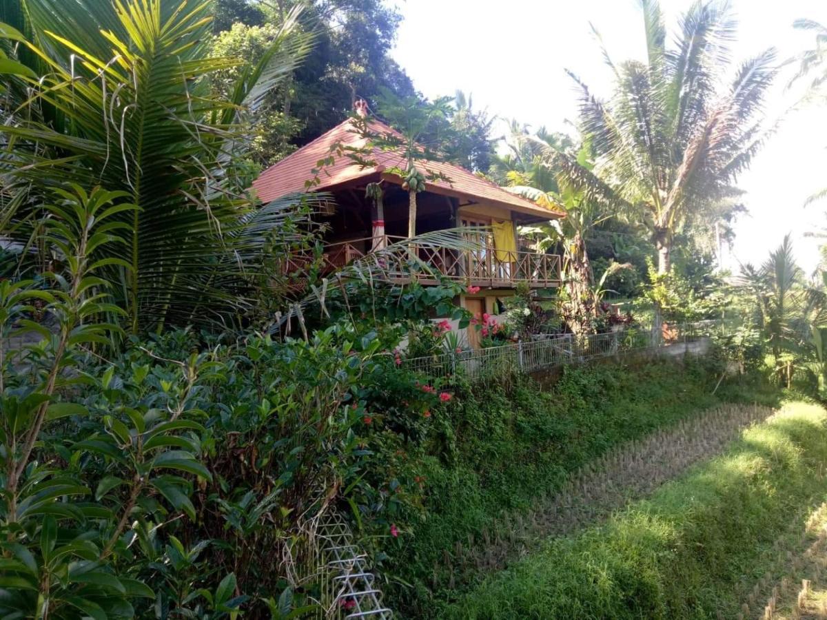 Babahan Farmstay Tabanan  Exterior photo