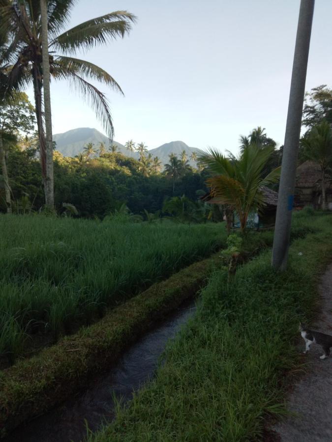 Babahan Farmstay Tabanan  Exterior photo