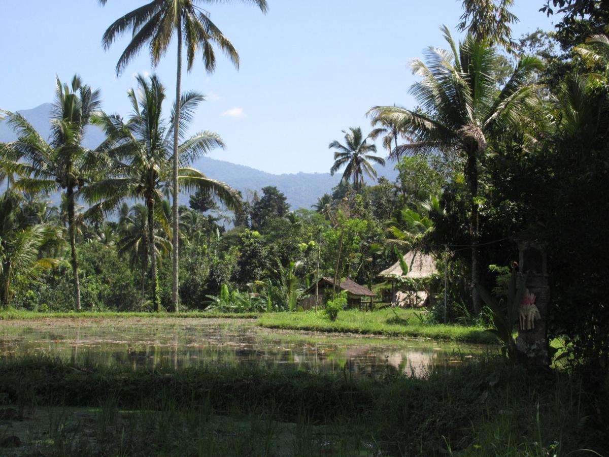 Babahan Farmstay Tabanan  Exterior photo